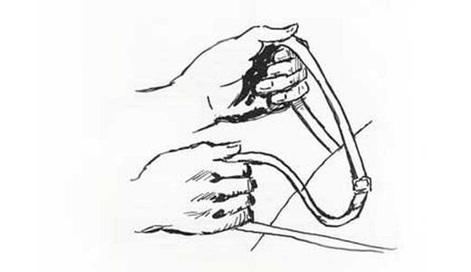 520x300 Rider's Hands