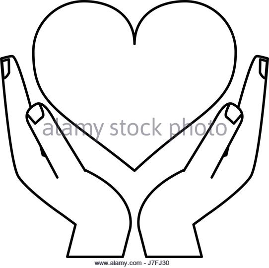 542x540 Holding My Heart Black And White Stock Photos Amp Images