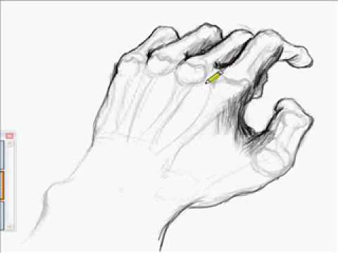 480x360 Drawing Hands