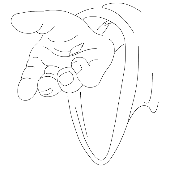 550x550 Jesus Open Hands Clipart