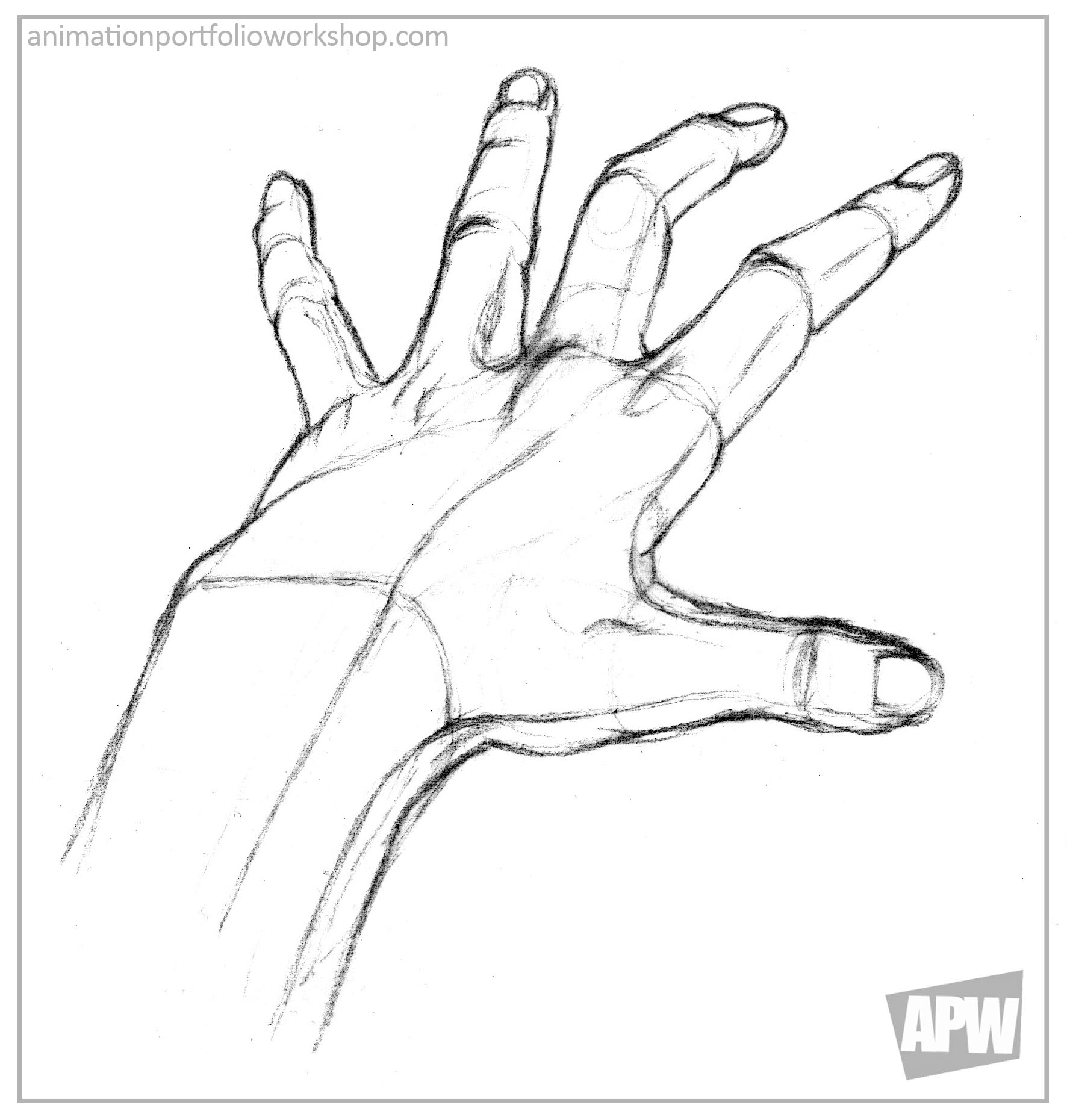 1772x1860 Open Hand Drawing