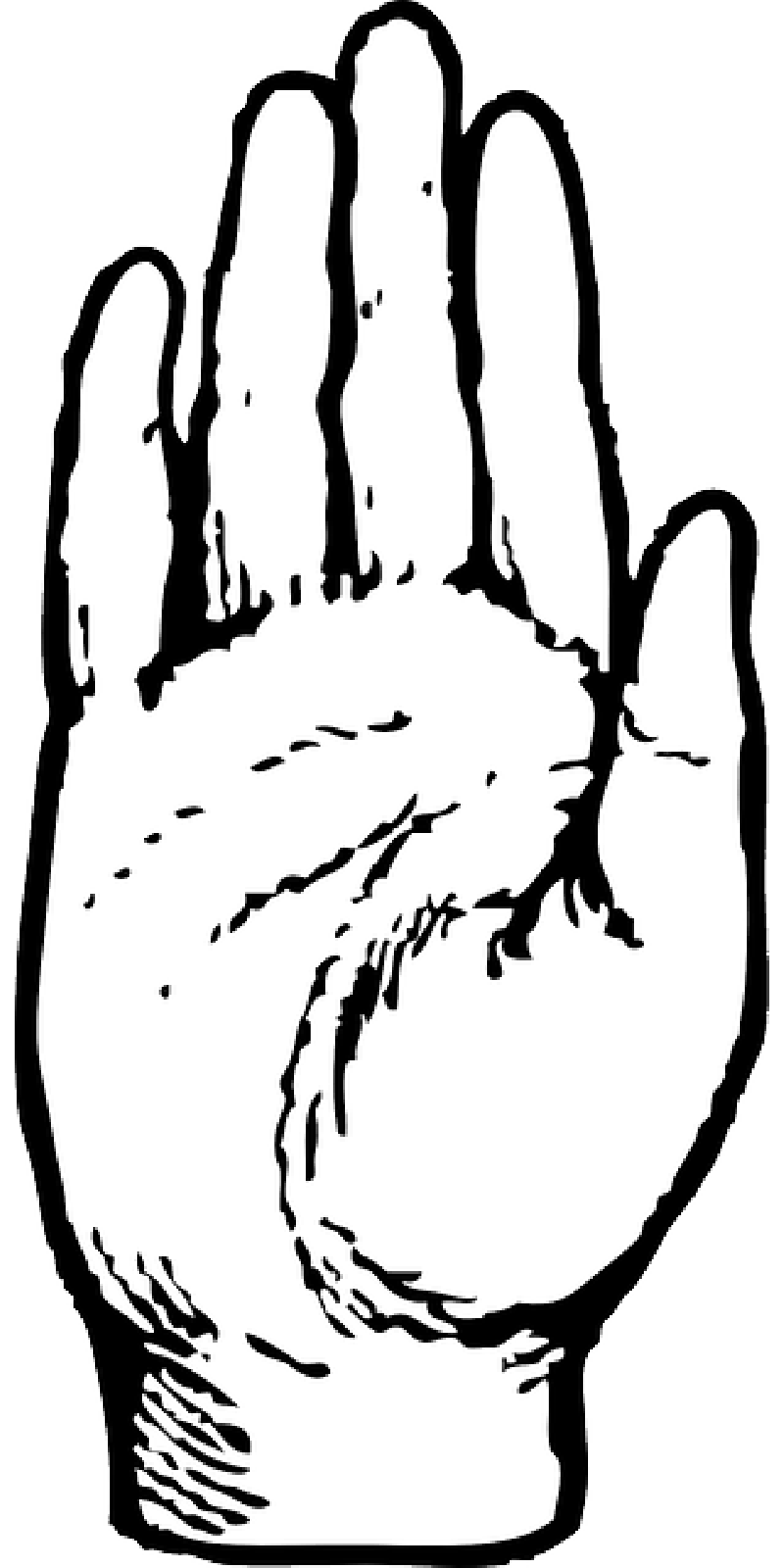 800x1600 Part, Left, Right, Outline, Hand, Open, Human, Palm