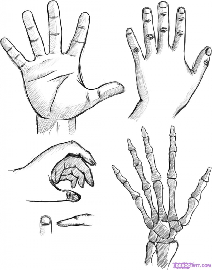 804x1024 Photos Hands Drawing Easy,
