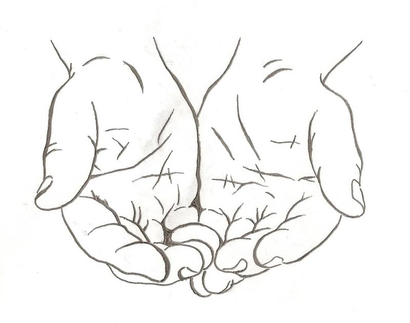 800x630 Open Hands Clipart