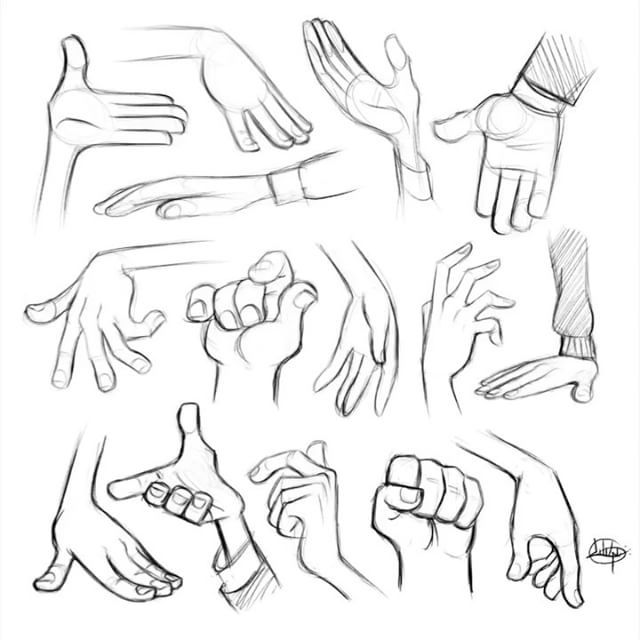 Hands Reference Drawing at GetDrawings | Free download