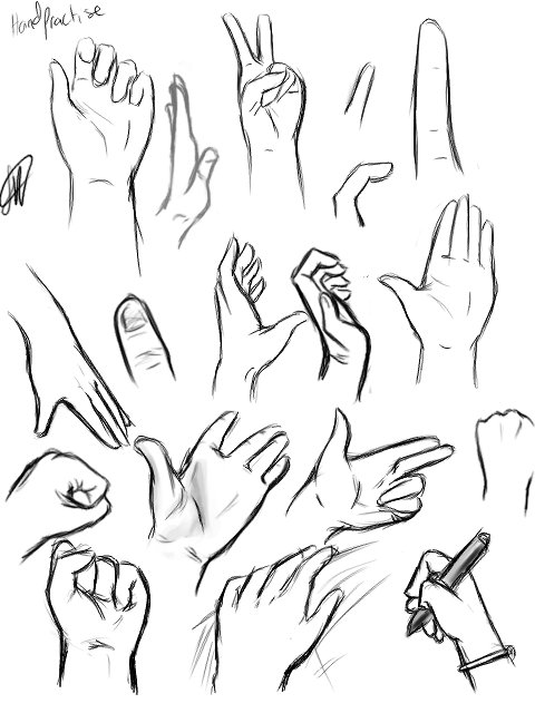 480x640 Hands On Draw Annything