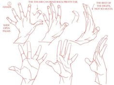 Hands Reference Drawing at GetDrawings | Free download