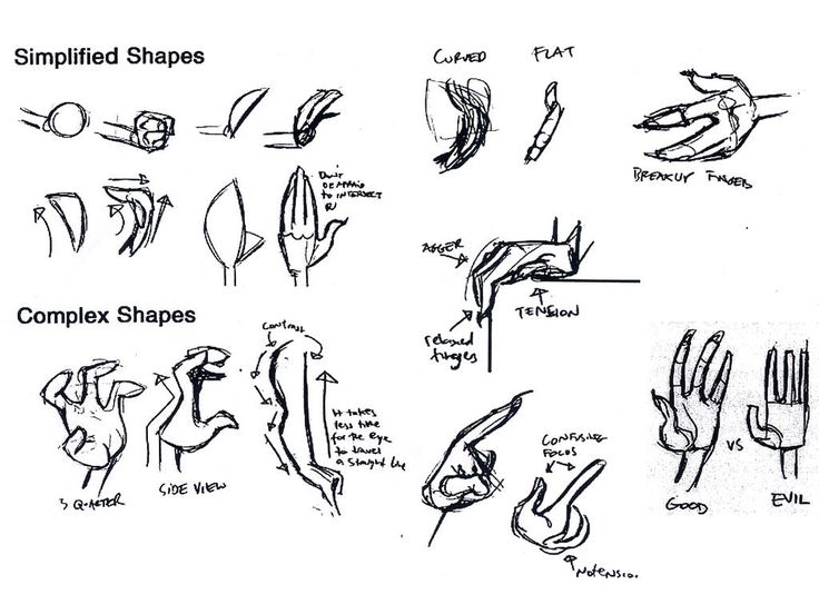 736x552 58 Best Hand References Images On How To Draw Hands