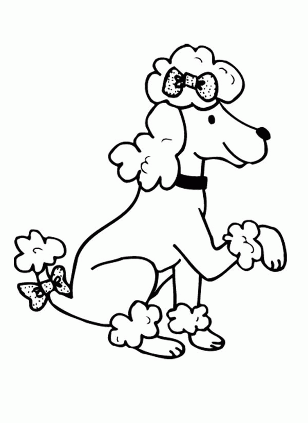 600x825 Free Poodle Coloring Pages 464539