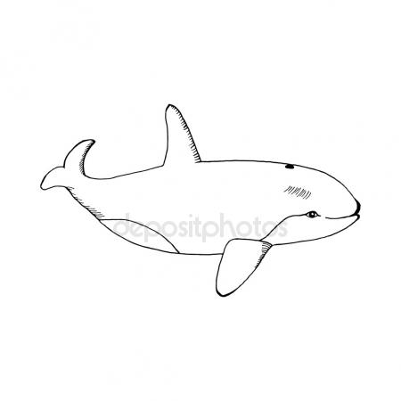 450x450 Hang Loose Stock Photo Drnn