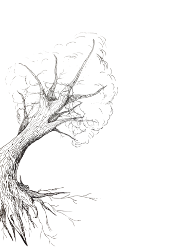 360x480 Cliff Hanger Purely