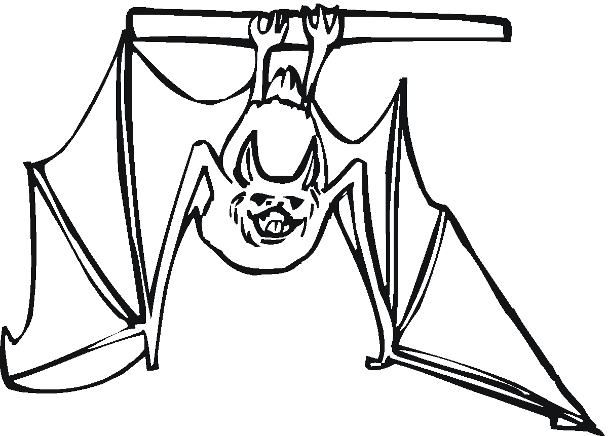 1200x861 Bat Coloring Pages The Sun Flower Pages