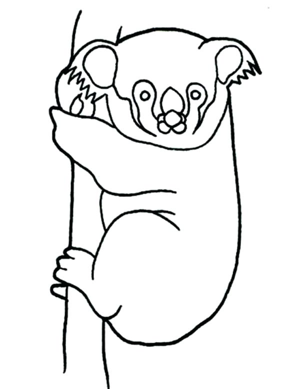 600x778 Chicago Bears Coloring Pages Koala Bear Hanging On Tree Coloring
