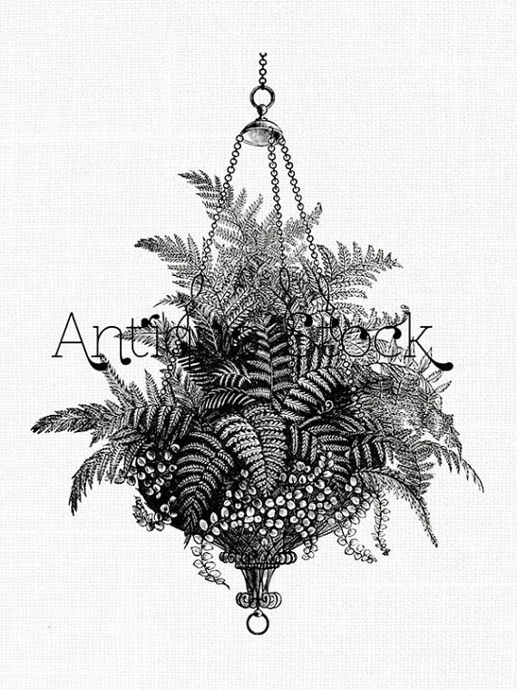 570x760 Plant Clip Art Hanging Flower Pot Vintage Image