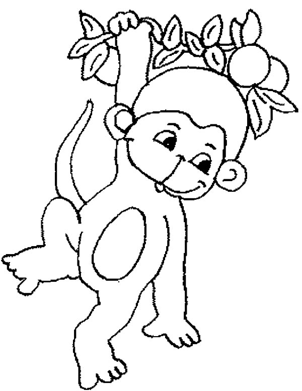 600x777 Cute Baby Monkey Hanging On Tree Coloring Page For Kids