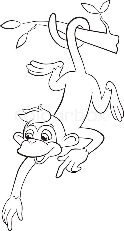 431x800 Coloring Pages. Little Cute Monkey Is Hanging On The Tree Branch