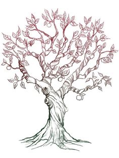 236x314 Hand Drawn Tree Symbol