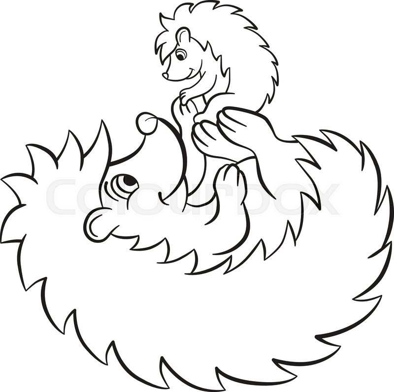 800x796 Coloring Pages. The Hedgegoh Holds Little Cute Hedgehog Baby