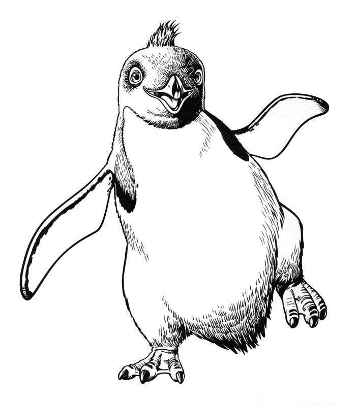 700x800 Happy Feet Coloring Page 6