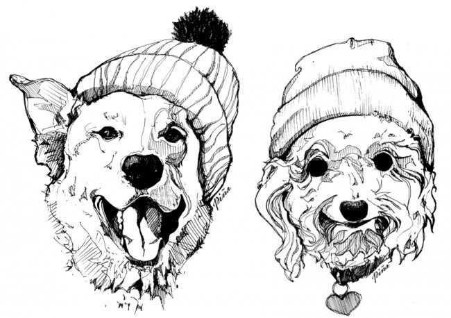 650x458 Dogs In Toques Ink Drawing, Angie Roussin Idea Cache Tofino