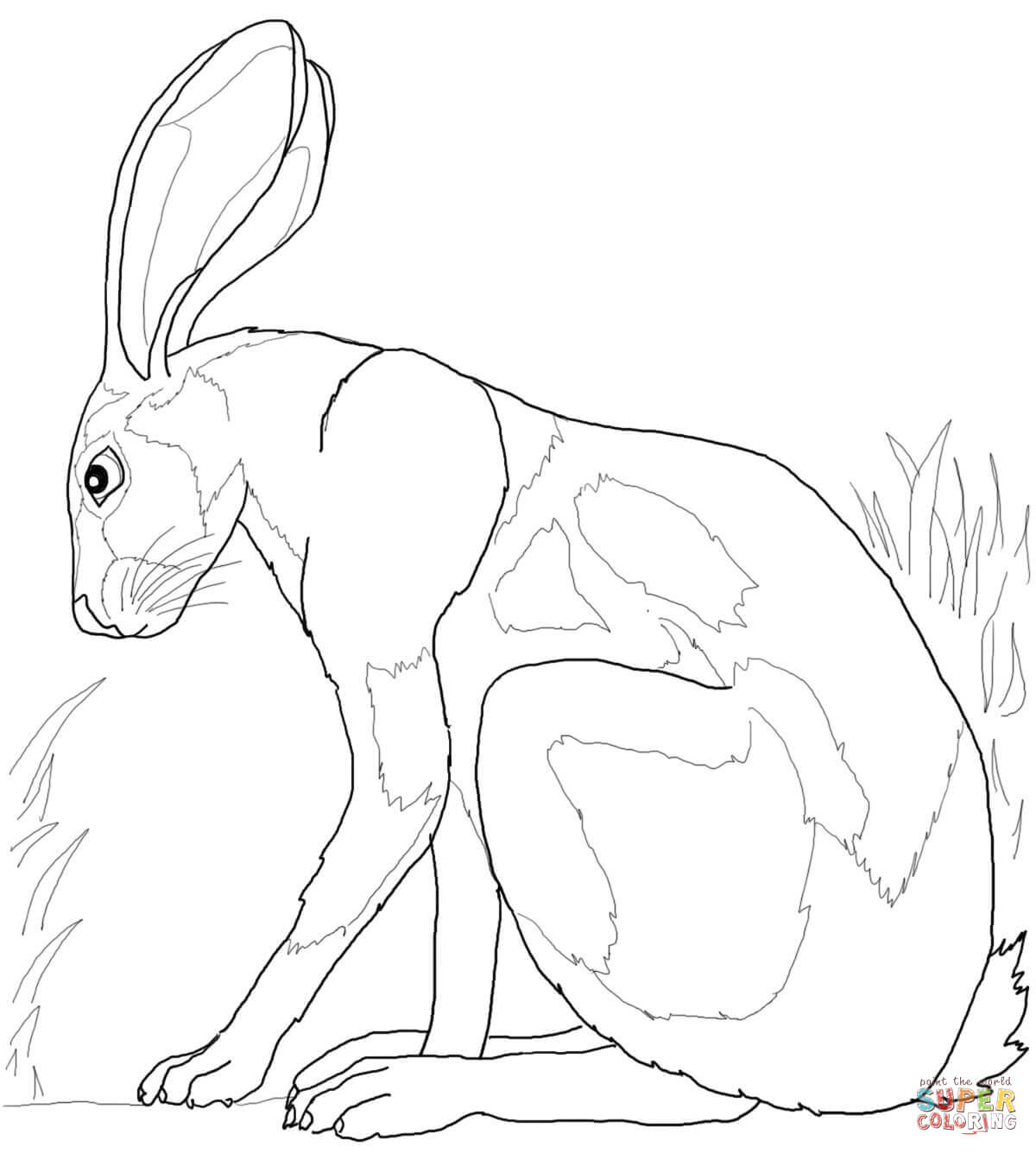 1200x1336 Hares Coloring Pages Free Coloring Pages