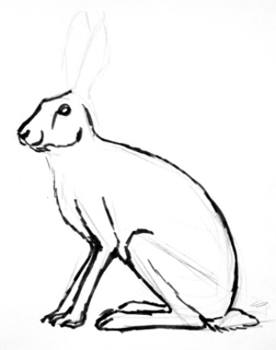 276x350 How To Draw A Hare