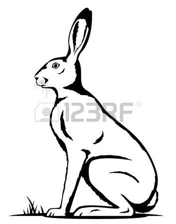 354x450 Image Result For Sitting Hare Drawing Ceramics