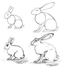 216x233 How To Draw A Hare