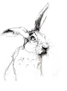 238x320 Hare Line Drawing