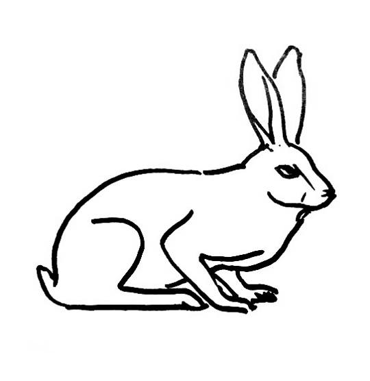 540x556 Hare Coloring Pages