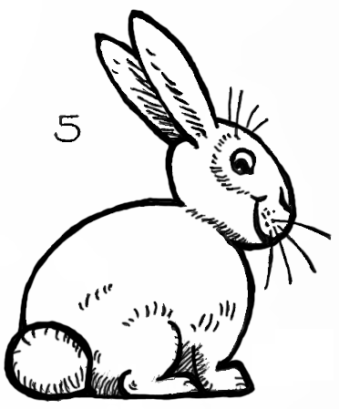 372x449 How To Draw Bunnies With Easy Bunny Rabbits Drawing Lesson