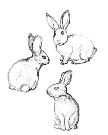 352x439 Drawn Rabbit Bunny Line