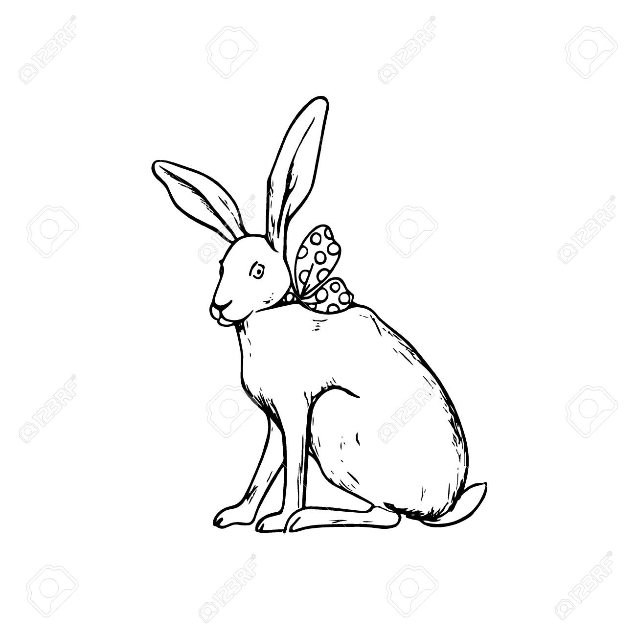 1300x1300 Hand Drawn Hare Stock Photo, Picture And Royalty Free Image. Image