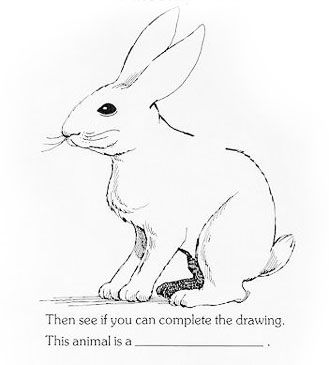 329x365 86 Best Sketching Rabbit Images On Drawing Ideas