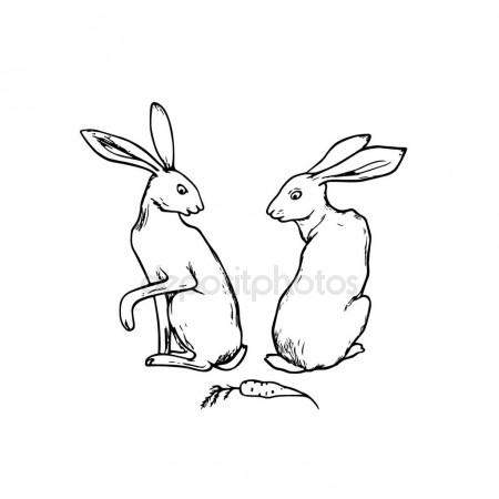 450x450 Hand Drawn Hares Stock Vector Ezhevica