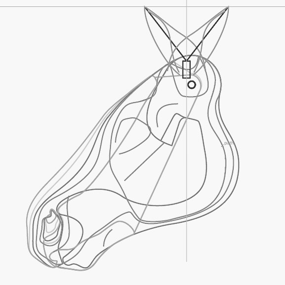 577x577 Hares Laura Mathews