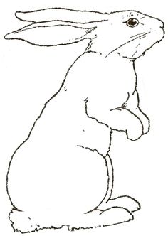 236x332 Image Result For How To Draw Hares Art Rabbit Art