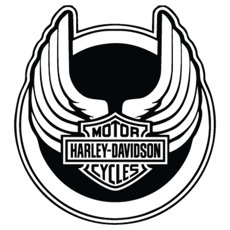 800x800 Harley Davidson Wings Decal