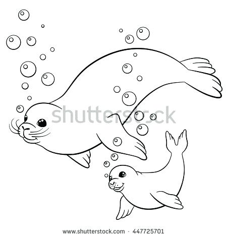 450x470 Seal Coloring Pages