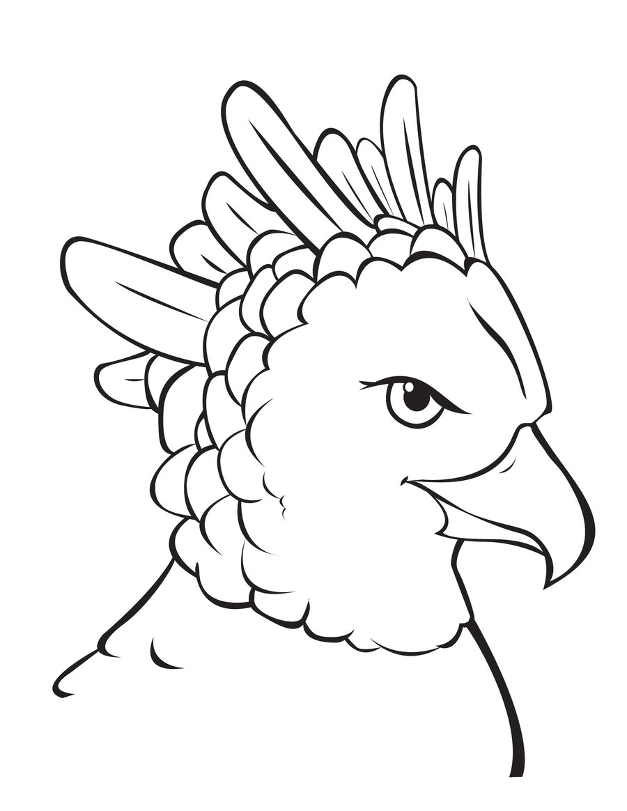 900x1164 Harpy Eagle Coloring Sheet Eagle Coloring Pages