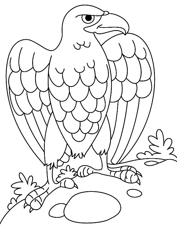600x776 Harpy Eagle With Monkey