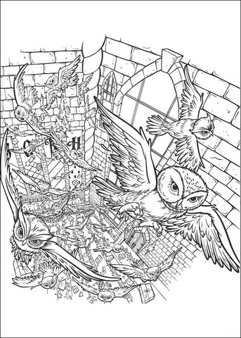 343x480 Owls In The Castle Coloring Page Free Printable Coloring Pages