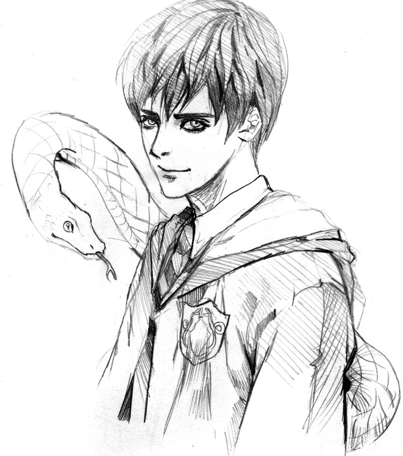 800x905 Harry Potter Fan Art Tom Skt By Moto0207