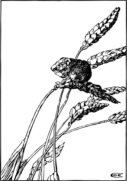 420x597 Harvest Mouse Clip Art