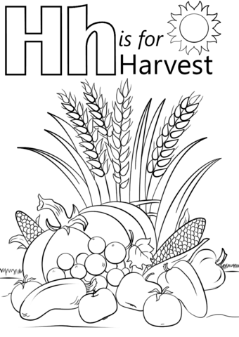 340x480 Letter H Is For Harvest Coloring Page Free Printable Coloring Pages