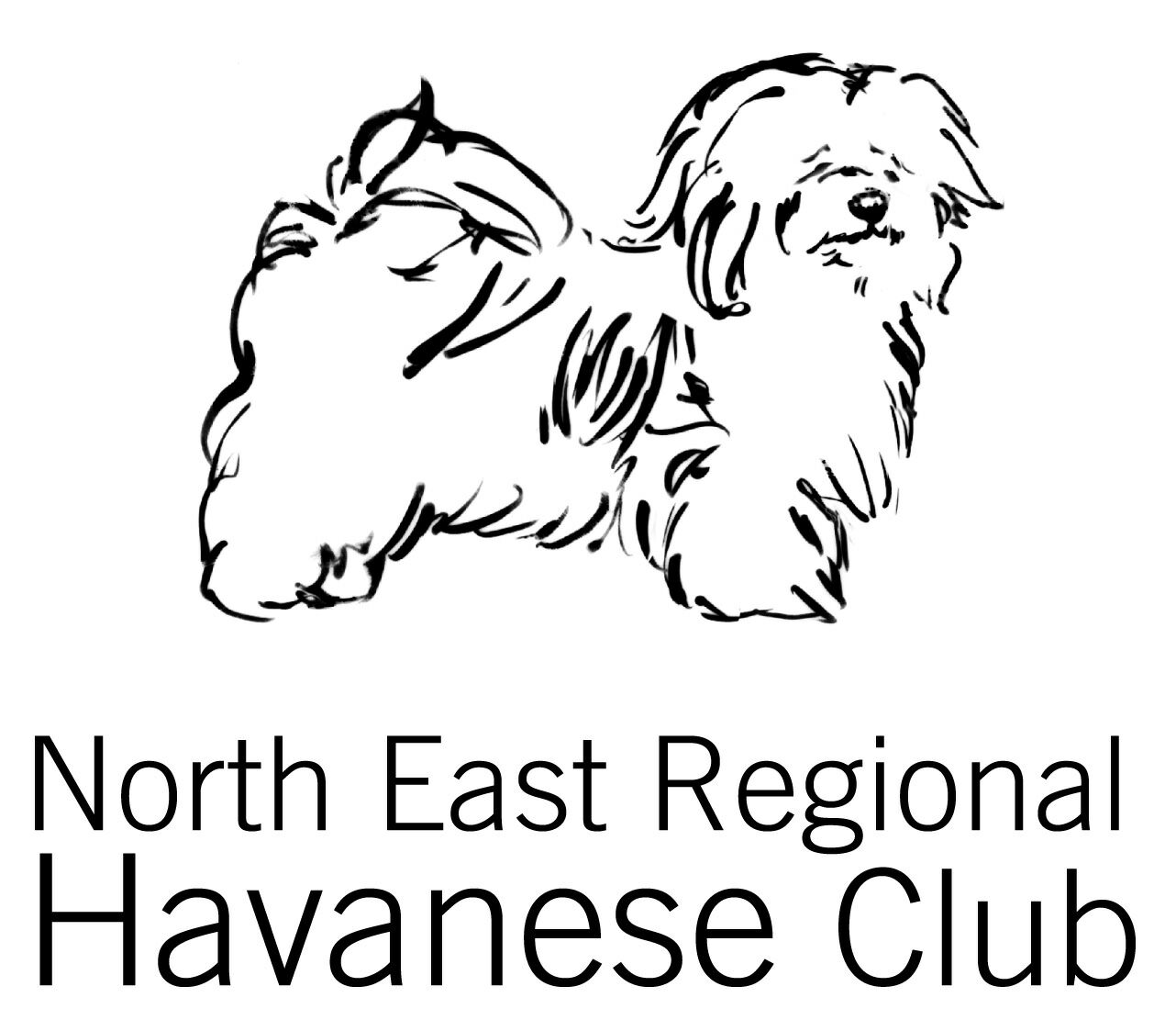 1282x1111 Funmatch2003