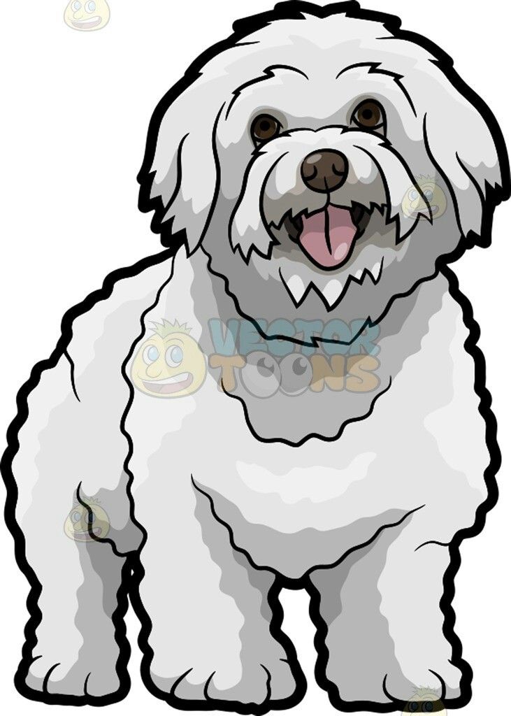 731x1024 149 Best Mascotas