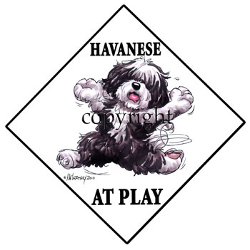 350x351 Havanese.jpg