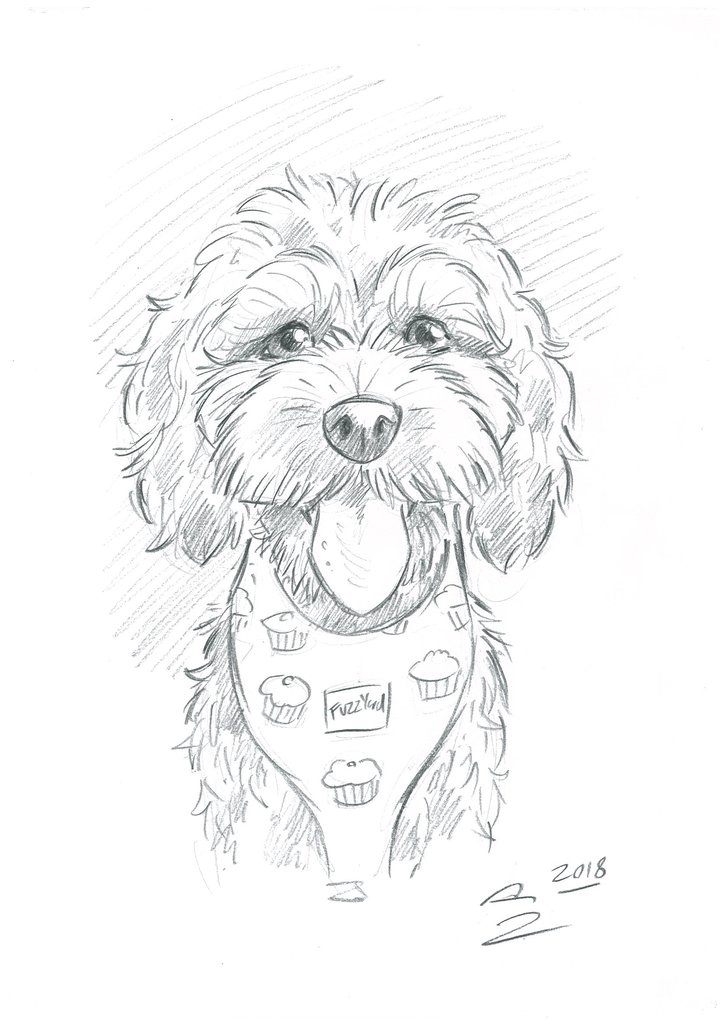 724x1024 Pet Portrait