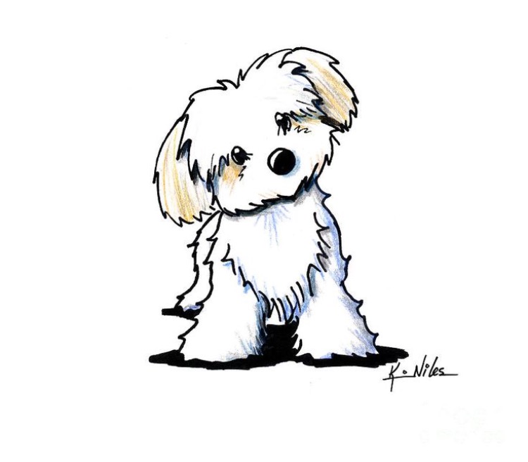 750x656 Pin By Jenny On Animals Animal